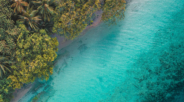 Coastline