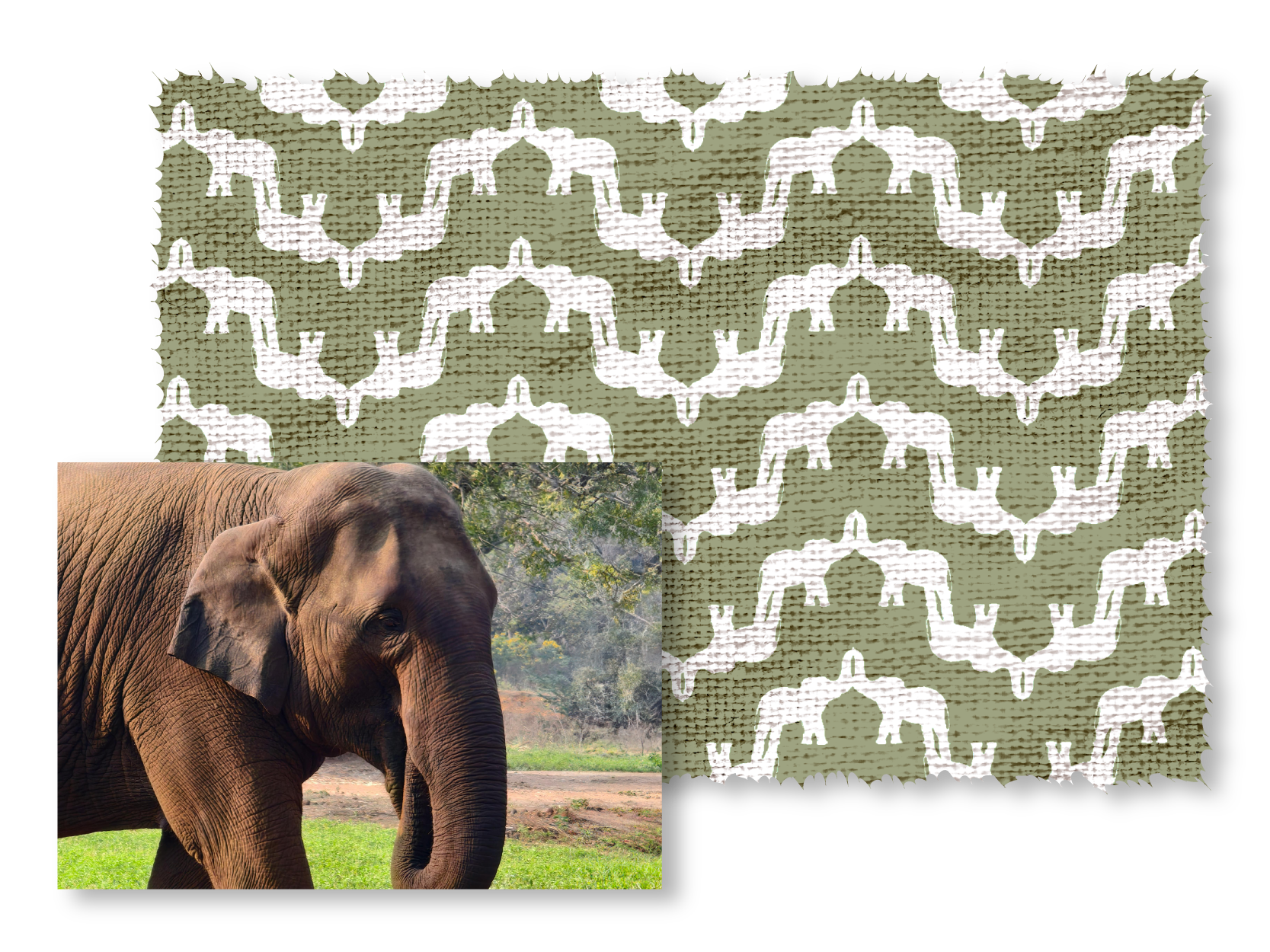 Patterned fabric with white elephants on a green background, next to an elephant in a natural setting.