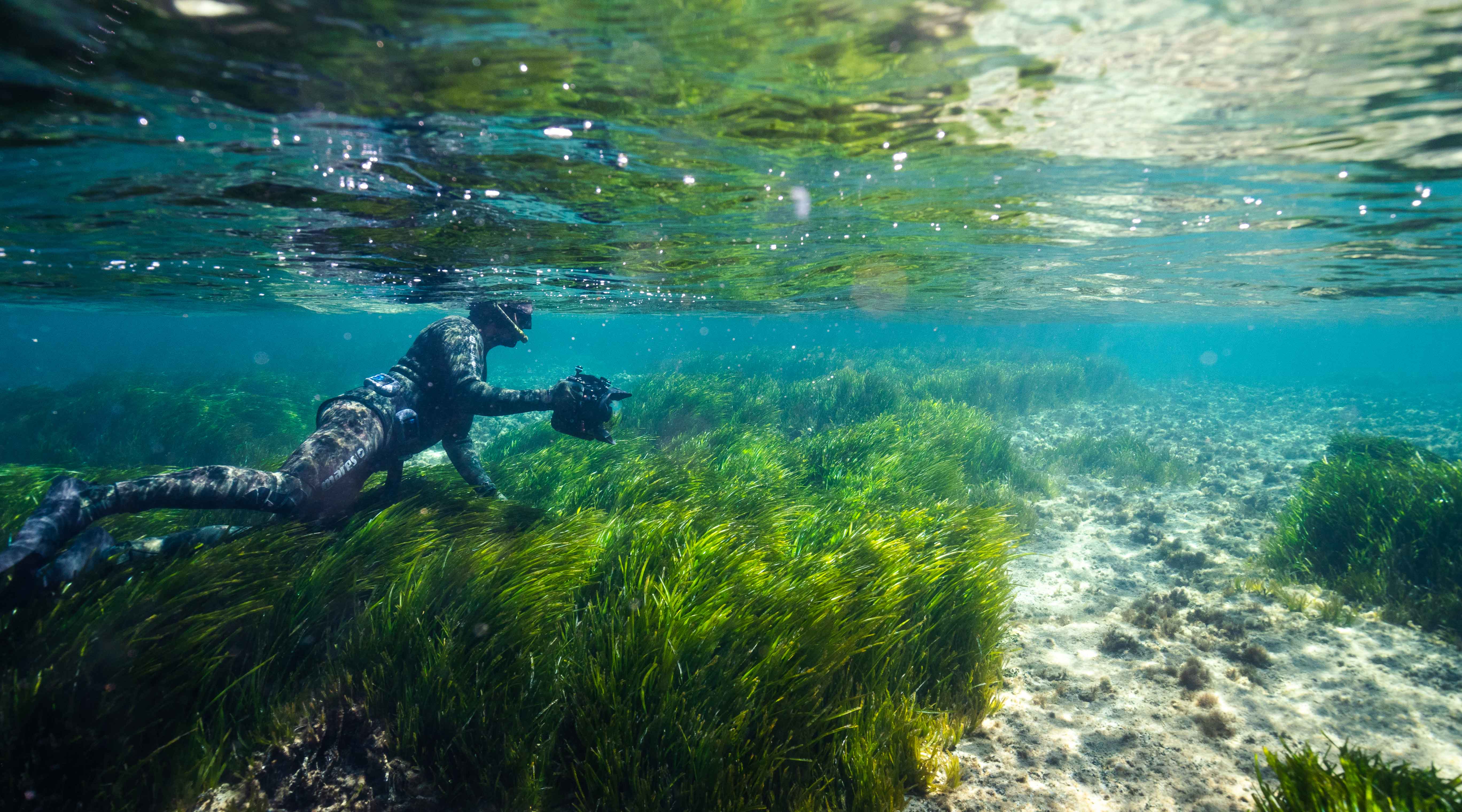 diver underwater