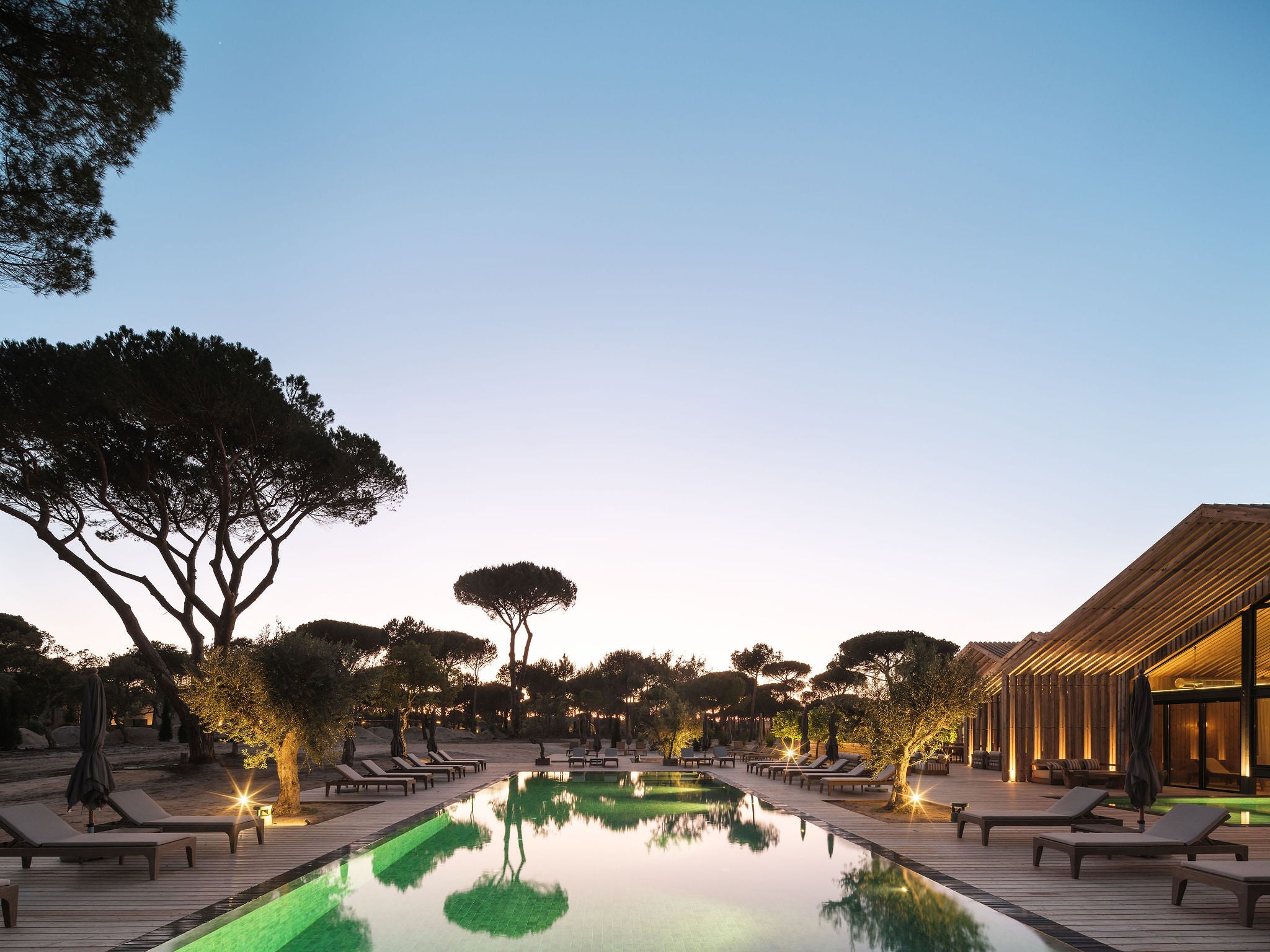 Luxury resort poolside at dusk with a long rectangular swimming pool, illuminated lounge chairs, tall trees, and a modern wooden building on the right.