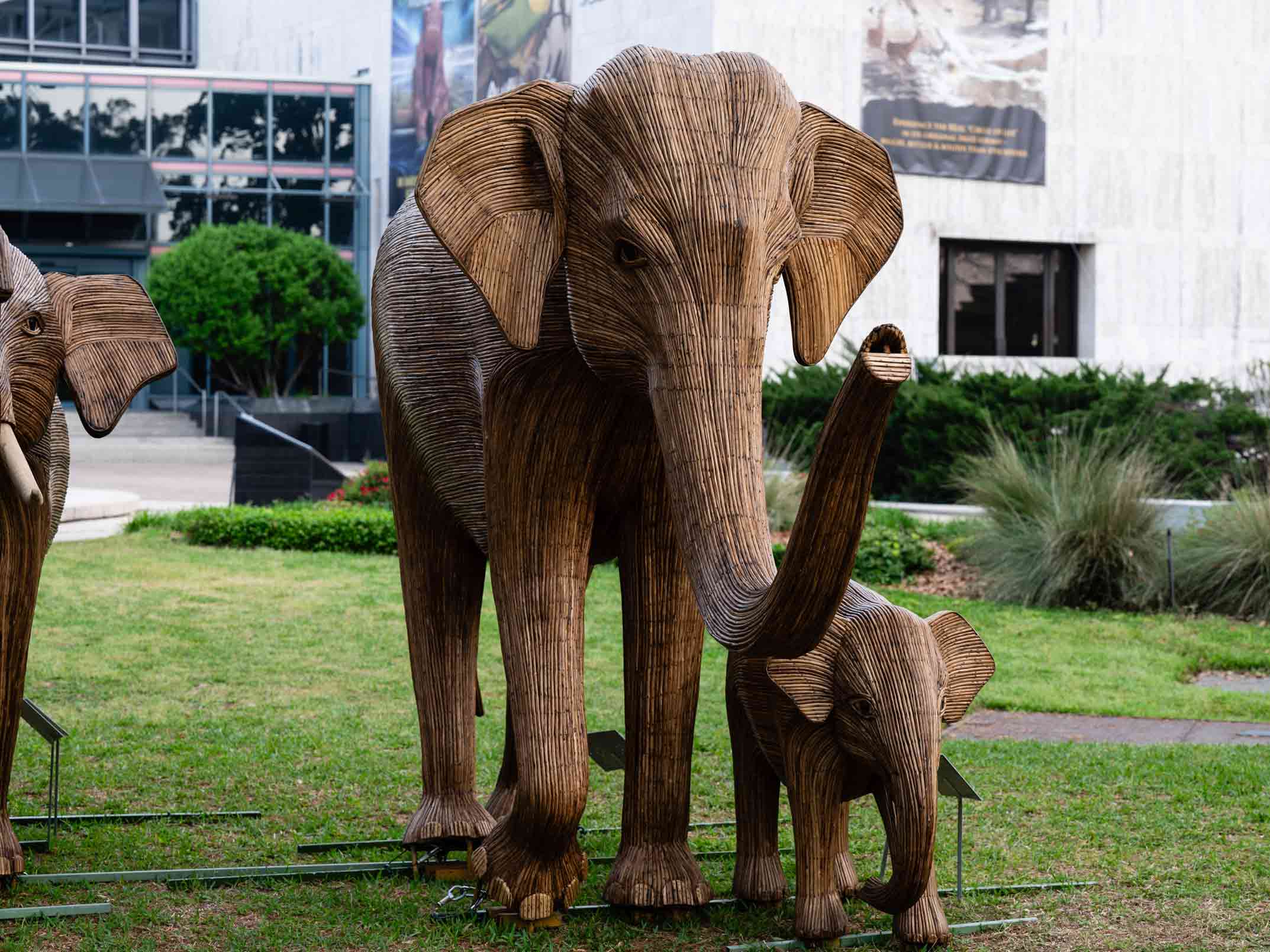Elephant statues in Hermann Park Conservancy.