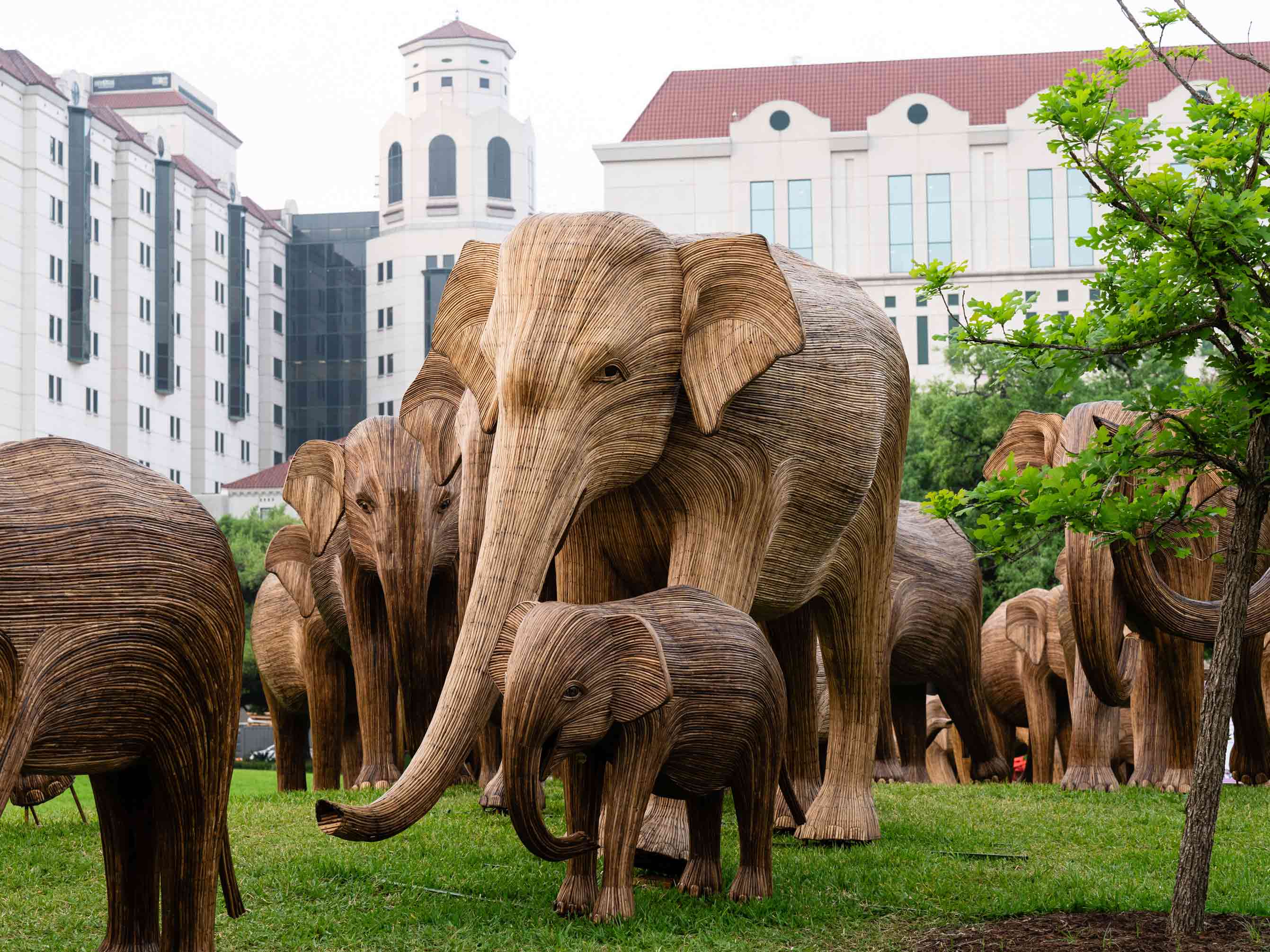 Elephant statues in Houston, Texas.