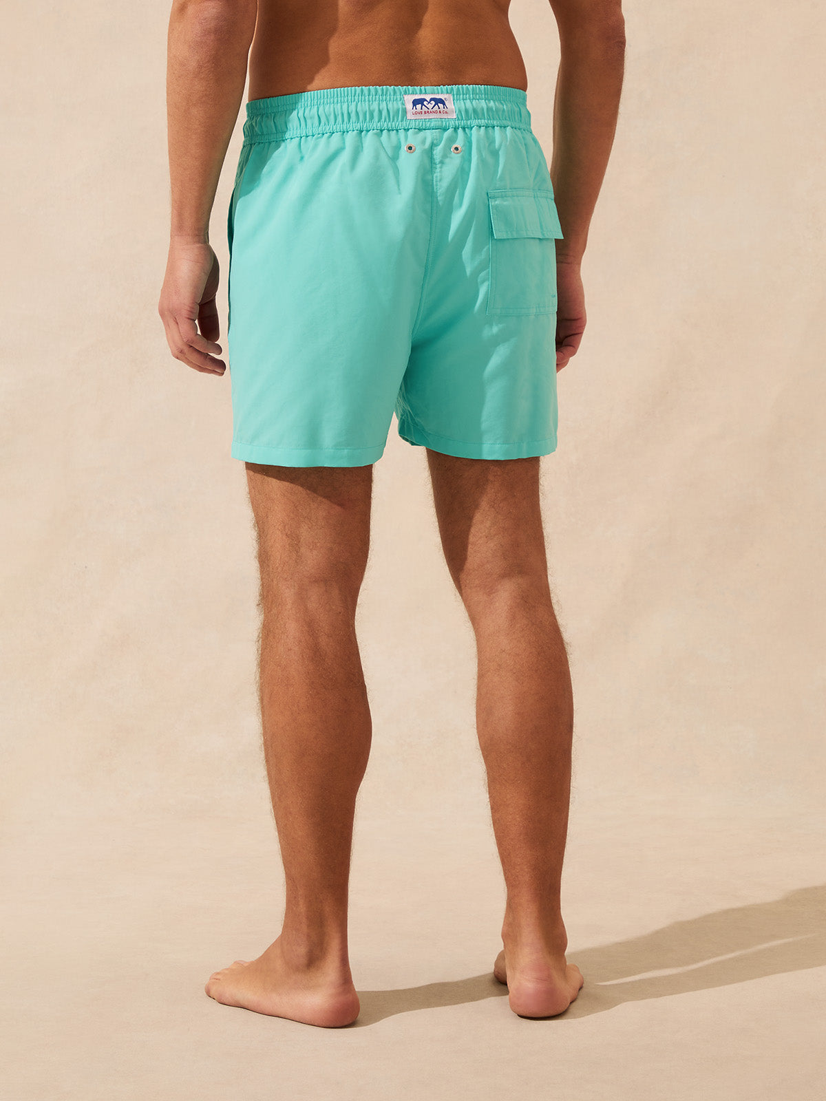 Back view of a man wearing mint green swim shorts with a back pocket against a beige background