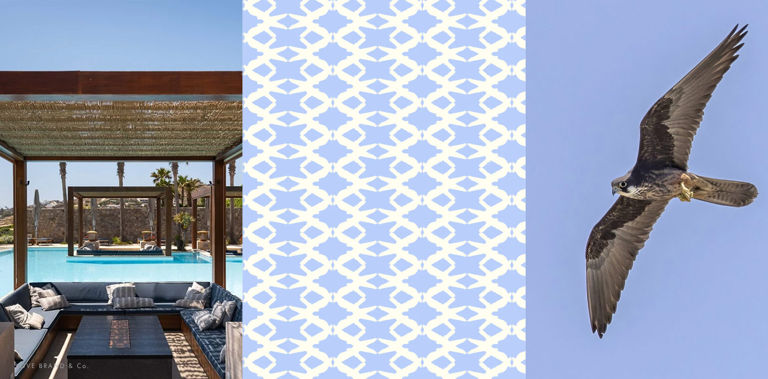 Left Santa Marina resort, middle Love Brand print, right falcon