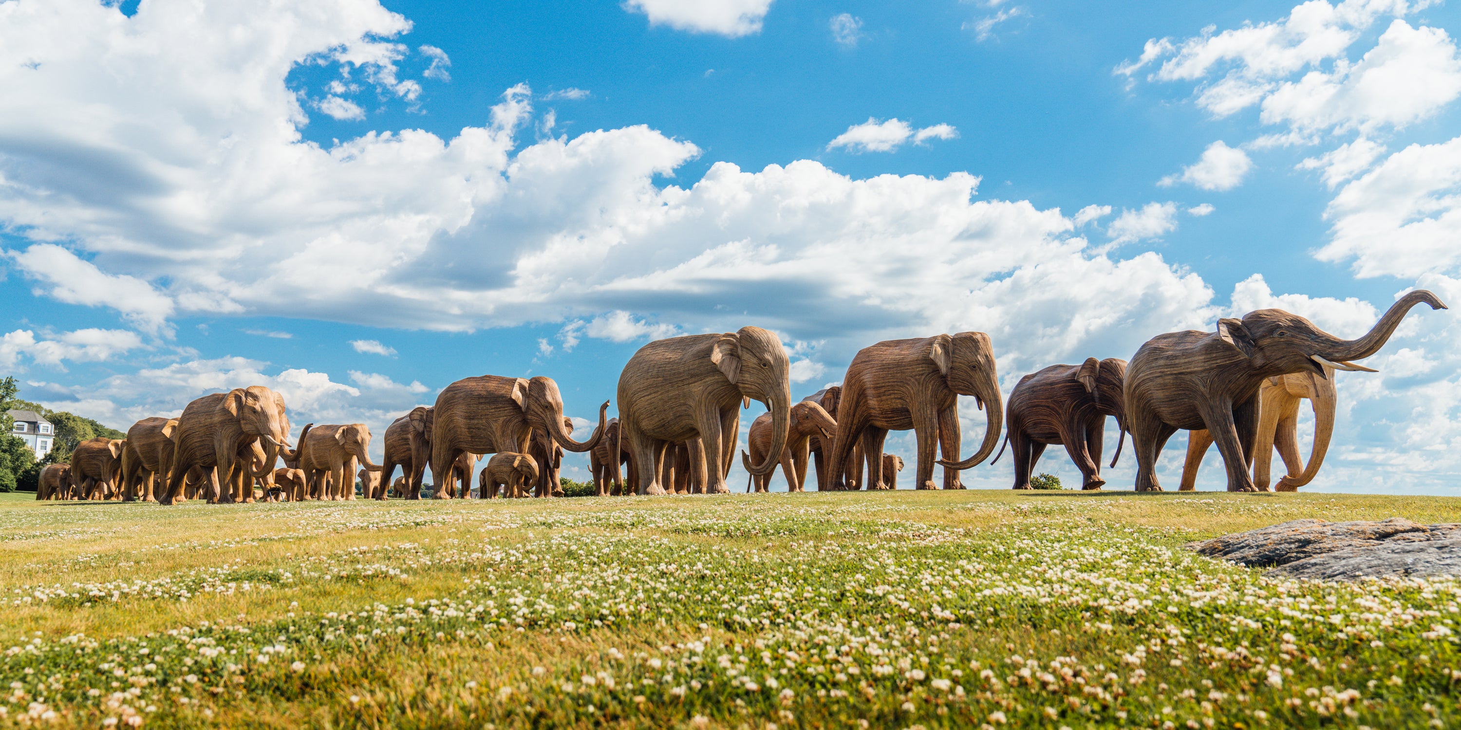 The great elephant migration statues on a grassy field under a bright blue sky with large white clouds.