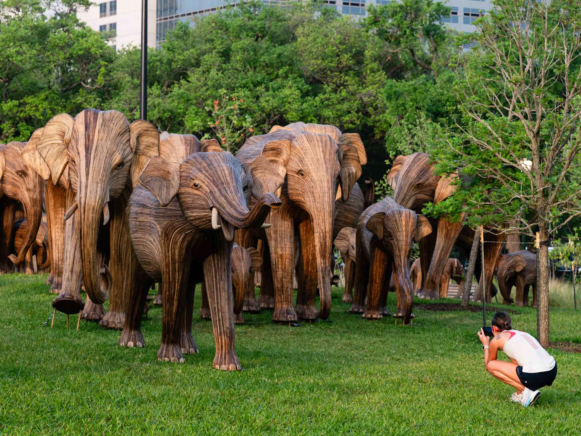 A woman takes a picture of the elephant statues in Houston.
