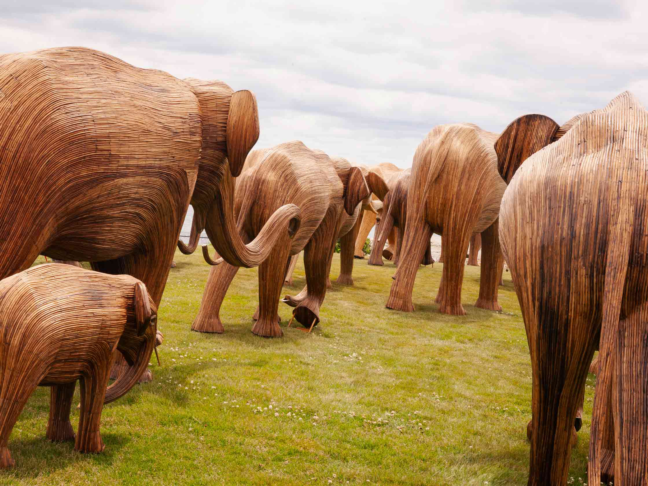 elephant statues