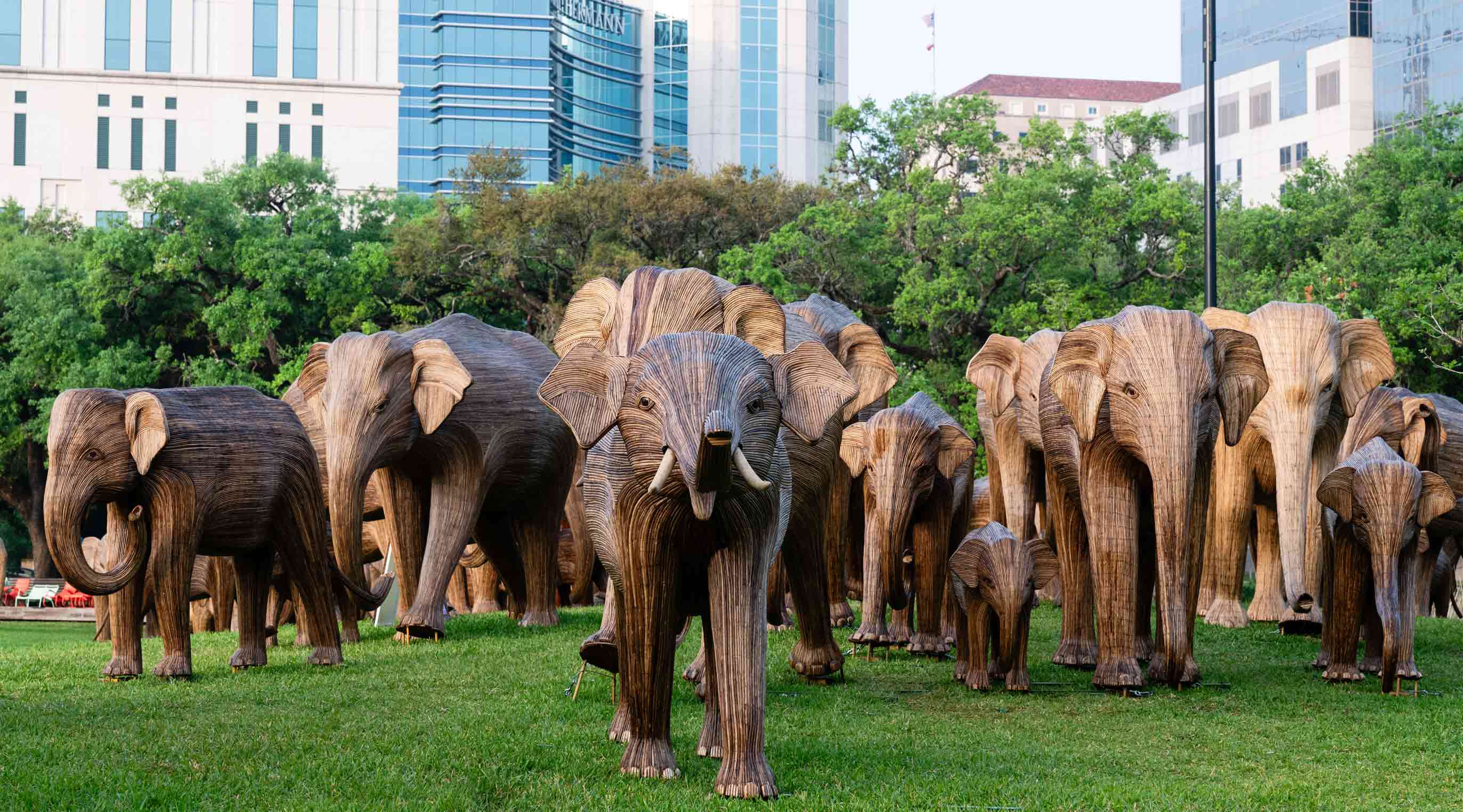 The Great Elephant Migration herd in Houston, Texas.