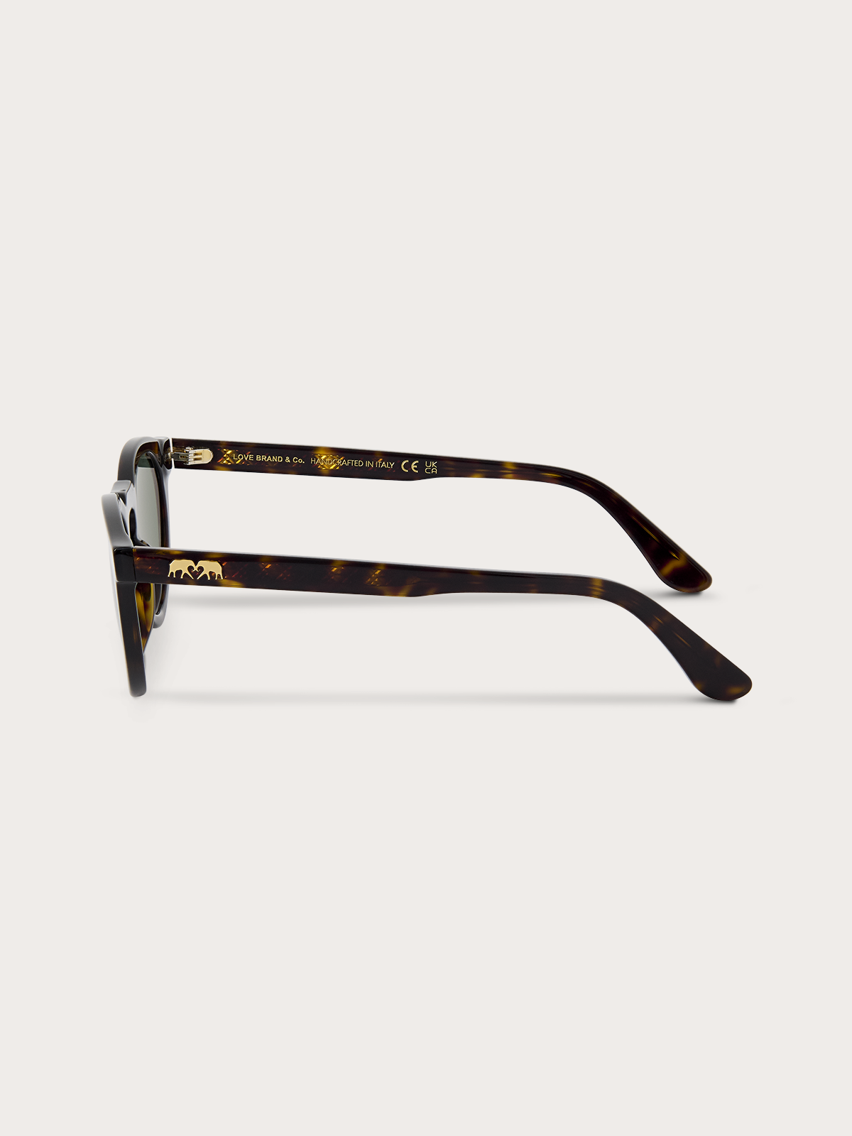 Pair of sunglasses with tortoiseshell frame on a white background