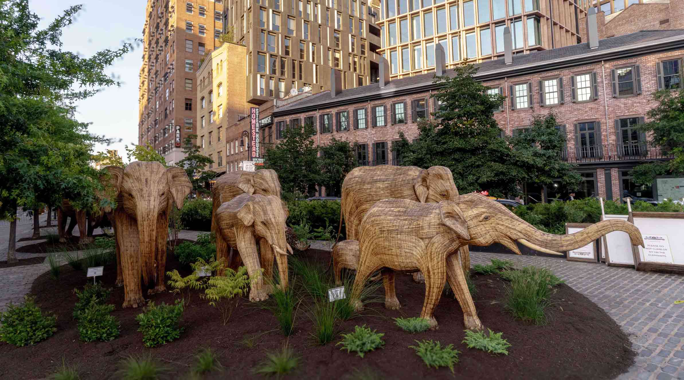 The Great Elephant Migration NYC