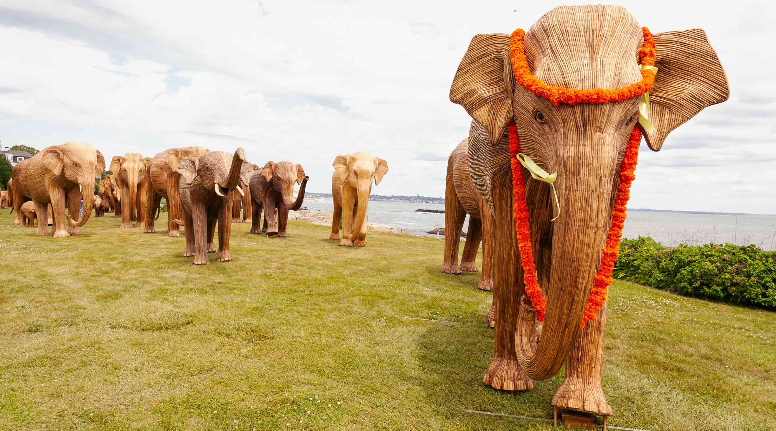 the great elephant migration newport
