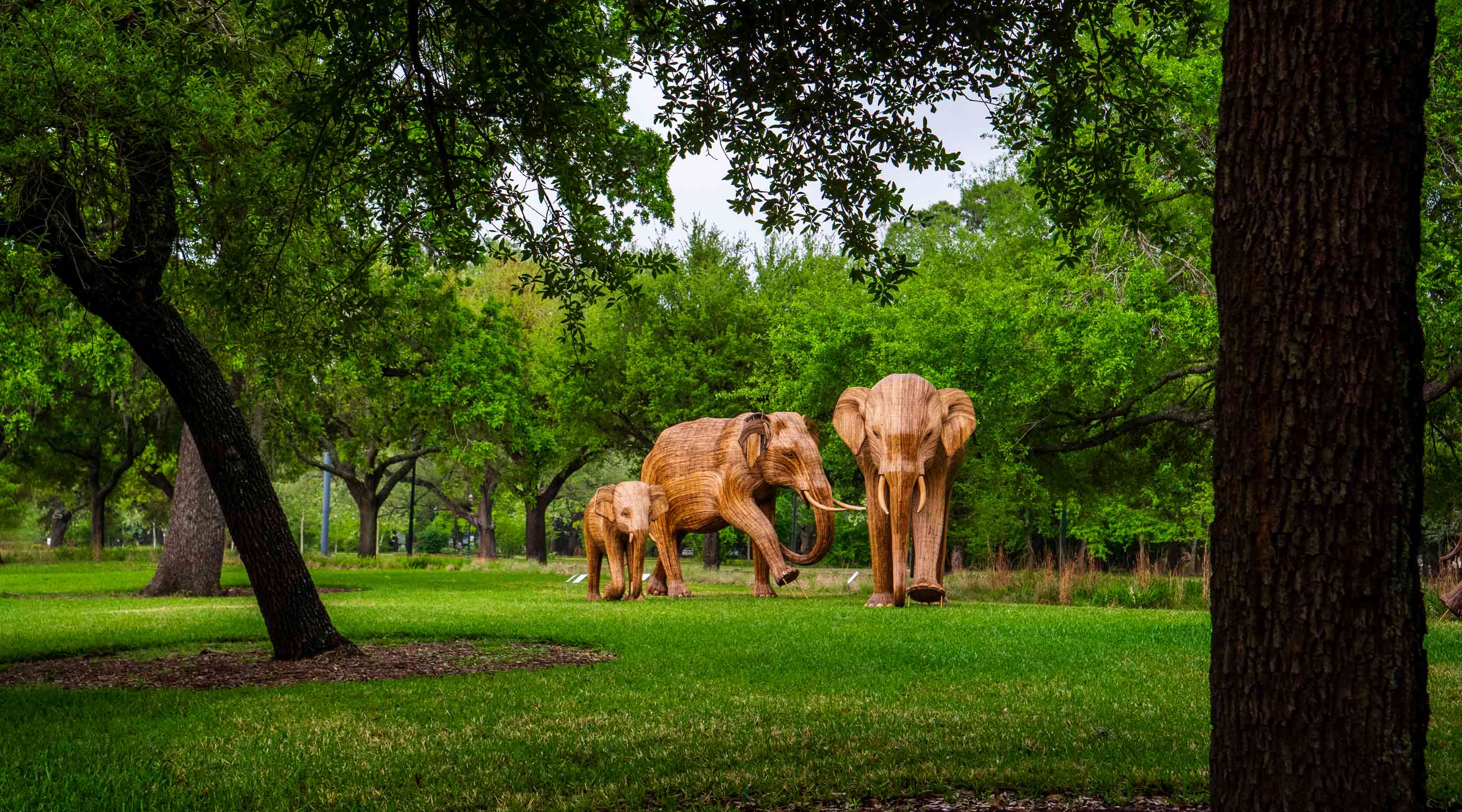 The Great Elephant Migration statues Texas